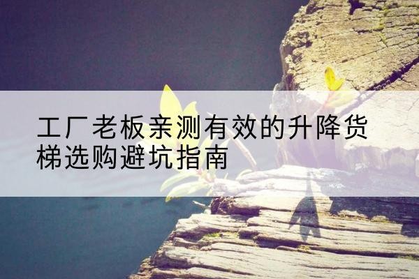 永年升降货梯怎么选-工厂老板亲测有效的升降货梯选购避坑指南
