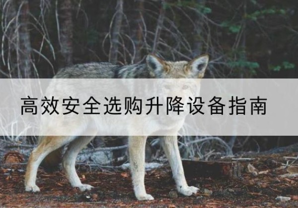 永年升降货梯厂家推荐-*安全选购升降设备指南