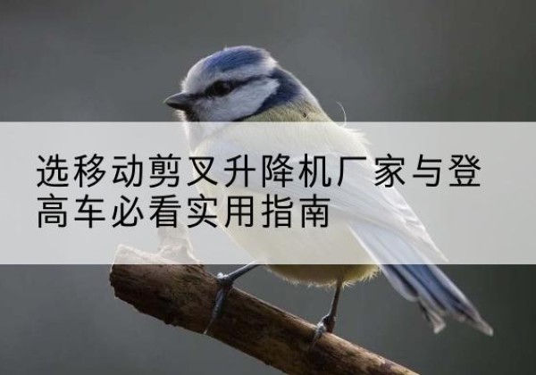 永年电动升降机厂家-选移动剪叉升降机厂家与登高车必看实用指南