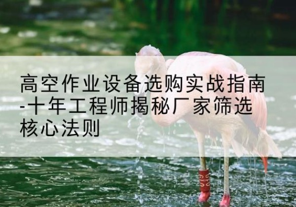 永年剪叉式升降机厂家-高空作业设备选购实战指南-十年工程师揭秘厂家筛选核心法则