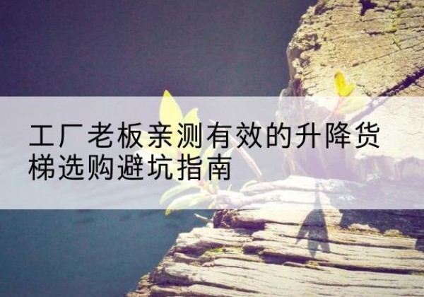 永年升降货梯怎么选-工厂老板亲测有效的升降货梯选购避坑指南